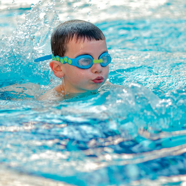 Lap Pool 8M
