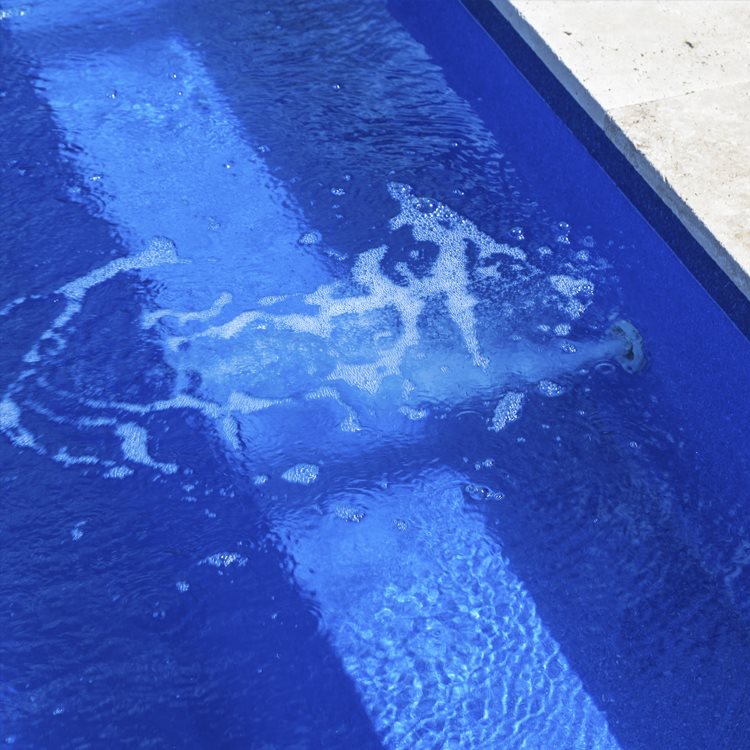 Dolphin 8.5M